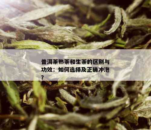 普洱茶熟茶和生茶的区别与功效：如何选择及正确冲泡？