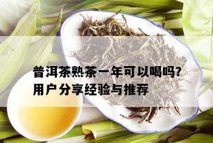 普洱茶熟茶一年可以喝吗？用户分享经验与推荐