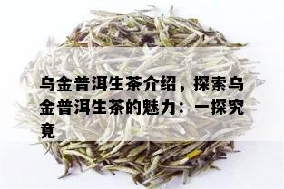 乌金普洱生茶介绍，探索乌金普洱生茶的魅力：一探究竟