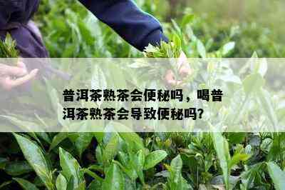 普洱茶熟茶会便秘吗，喝普洱茶熟茶会导致便秘吗？