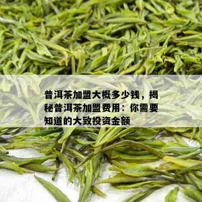 普洱茶加盟大概多少钱，揭秘普洱茶加盟费用：你需要知道的大致投资金额