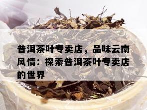 普洱茶叶专卖店，品味云南风情：探索普洱茶叶专卖店的世界