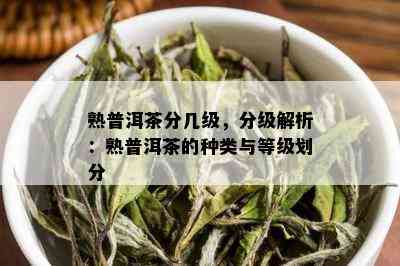 熟普洱茶分几级，分级解析：熟普洱茶的种类与等级划分