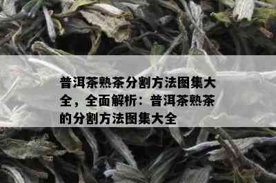 普洱茶熟茶分割方法图集大全，全面解析：普洱茶熟茶的分割方法图集大全