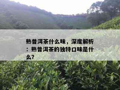 熟普洱茶什么味，深度解析：熟普洱茶的独特口味是什么？