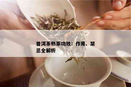 普洱茶熟茶功效：作用、禁忌全解析