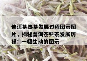 普洱茶熟茶发展过程图示图片，揭秘普洱茶熟茶发展历程：一幅生动的图示