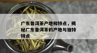 广东普洱茶产地和特点，揭秘广东普洱茶的产地与独特特点