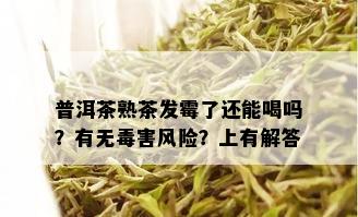 普洱茶熟茶发霉了还能喝吗？有无害风险？上有解答