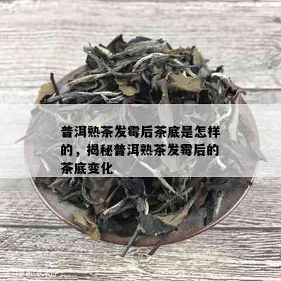 普洱熟茶发霉后茶底是怎样的，揭秘普洱熟茶发霉后的茶底变化