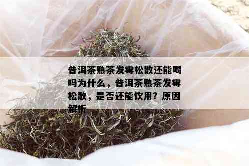 普洱茶熟茶发霉松散还能喝吗为什么，普洱茶熟茶发霉松散，是否还能饮用？原因解析