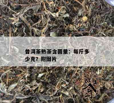 普洱茶熟茶含菌量：每斤多少克？附图片