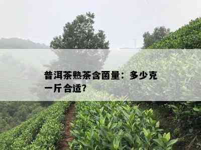 普洱茶熟茶含菌量：多少克一斤合适？