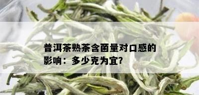 普洱茶熟茶含菌量对口感的影响：多少克为宜？