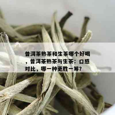 普洱茶熟茶和生茶哪个好喝，普洱茶熟茶与生茶：口感对比，哪一种更胜一筹？