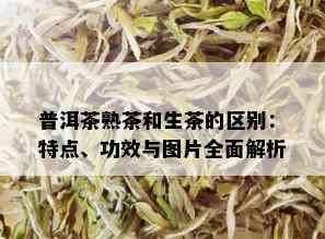 普洱茶熟茶和生茶的区别：特点、功效与图片全面解析