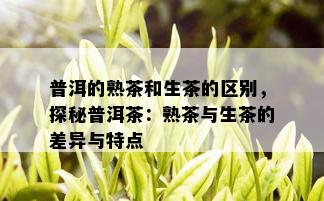 普洱的熟茶和生茶的区别，探秘普洱茶：熟茶与生茶的差异与特点