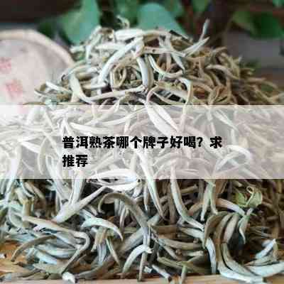 普洱熟茶哪个牌子好喝？求推荐