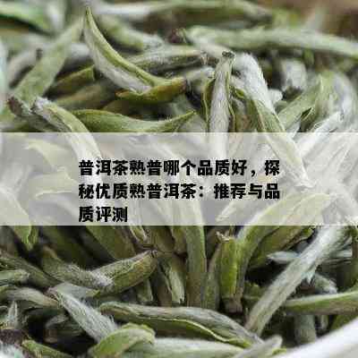 普洱茶熟普哪个品质好，探秘优质熟普洱茶：推荐与品质评测