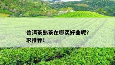 普洱茶熟茶在哪买好些呢？求推荐！