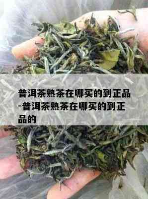 普洱茶熟茶在哪买的到正品-普洱茶熟茶在哪买的到正品的