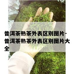 普洱茶熟茶外表区别图片-普洱茶熟茶外表区别图片大全