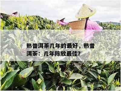 熟普洱茶几年的更好，熟普洱茶：几年陈放更佳？