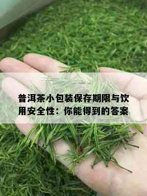 普洱茶小包装保存期限与饮用安全性：你能得到的答案