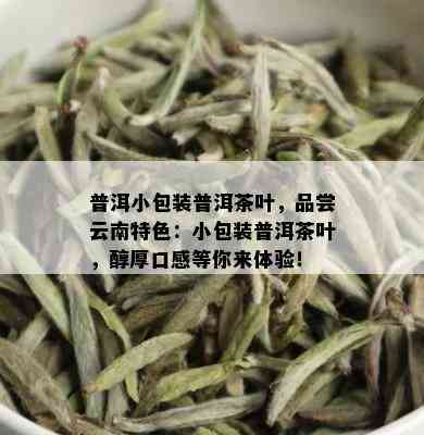 普洱小包装普洱茶叶，品尝云南特色：小包装普洱茶叶，醇厚口感等你来体验！