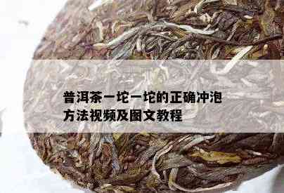 普洱茶一坨一坨的正确冲泡方法视频及图文教程