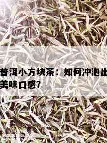 普洱小方块茶：如何冲泡出美味口感？