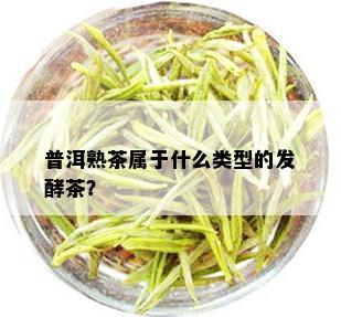 普洱熟茶属于什么类型的发酵茶？