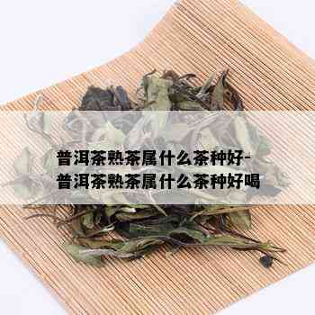 普洱茶熟茶属什么茶种好-普洱茶熟茶属什么茶种好喝