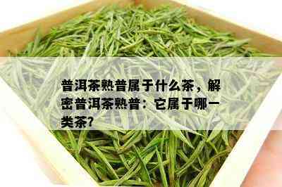 普洱茶熟普属于什么茶，解密普洱茶熟普：它属于哪一类茶？