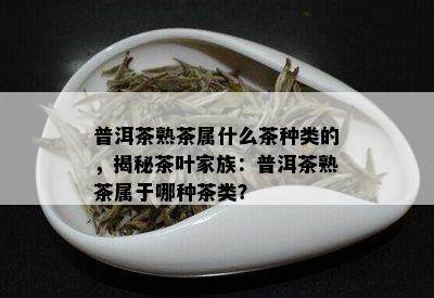 普洱茶熟茶属什么茶种类的，揭秘茶叶家族：普洱茶熟茶属于哪种茶类？