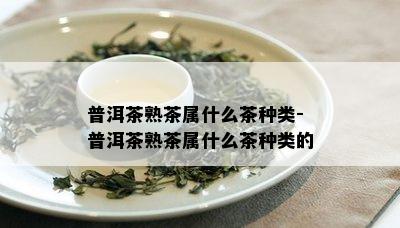 普洱茶熟茶属什么茶种类-普洱茶熟茶属什么茶种类的