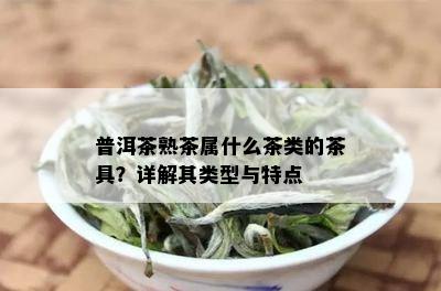 普洱茶熟茶属什么茶类的茶具？详解其类型与特点