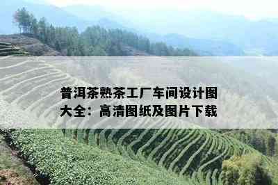 普洱茶熟茶工厂车间设计图大全：高清图纸及图片下载