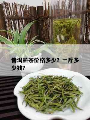 普洱熟茶价格多少？一斤多少钱？