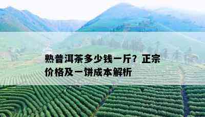 熟普洱茶多少钱一斤？正宗价格及一饼成本解析