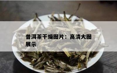 普洱茶干燥图片：高清大图展示