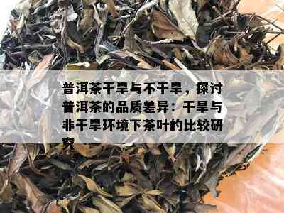 普洱茶干旱与不干旱，探讨普洱茶的品质差异：干旱与非干旱环境下茶叶的比较研究