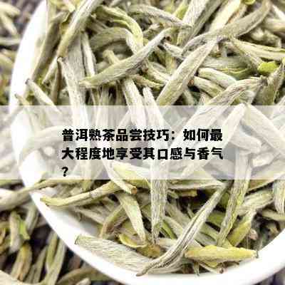 普洱熟茶品尝技巧：如何更大程度地享受其口感与香气?