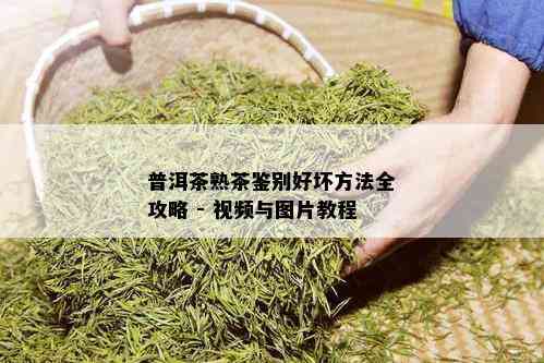 普洱茶熟茶鉴别好坏方法全攻略 - 视频与图片教程