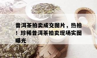 普洱茶拍卖成交图片，热拍！珍稀普洱茶拍卖现场实图曝光