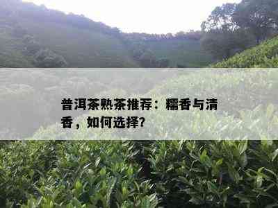 普洱茶熟茶推荐：糯香与清香，如何选择？