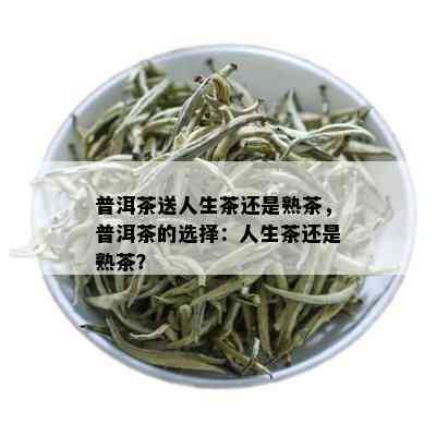 普洱茶送人生茶还是熟茶，普洱茶的选择：人生茶还是熟茶？