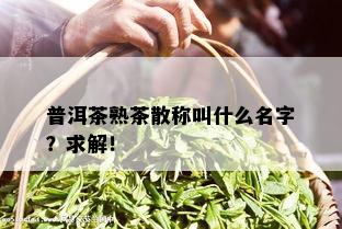 普洱茶熟茶散称叫什么名字？求解！