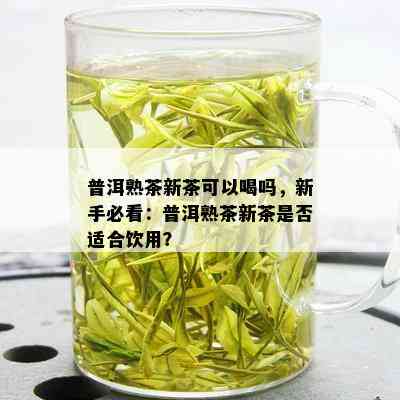 普洱熟茶新茶可以喝吗，新手必看：普洱熟茶新茶是否适合饮用？