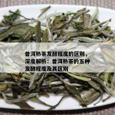 普洱熟茶发酵程度的区别，深度解析：普洱熟茶的五种发酵程度及其区别